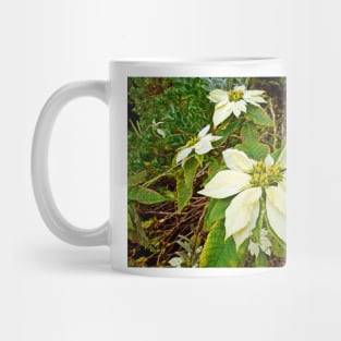 Kula Botanical Gardens Study 21 Mug